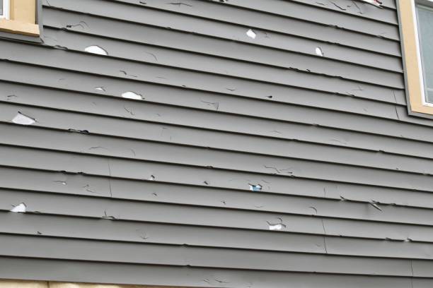 Recycling Services for Junk in Tilton, IL
